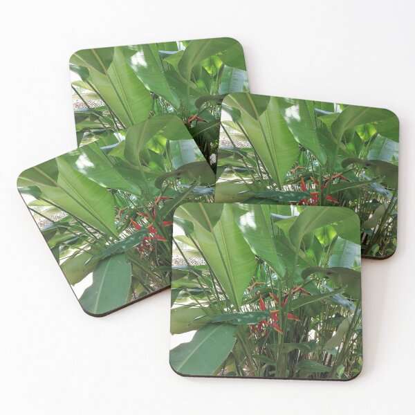 Item preview, Tropical Green Leaves and Bird of Paradise designed and sold by PhuongVoArt.