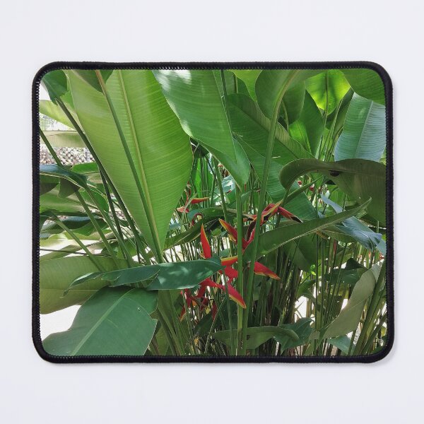 Item preview, Tropical Green Leaves and Bird of Paradise designed and sold by PhuongVoArt.
