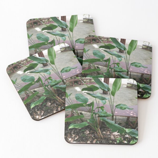 Item preview, Tropical Green Leaves Nature Photo designed and sold by PhuongVoArt.