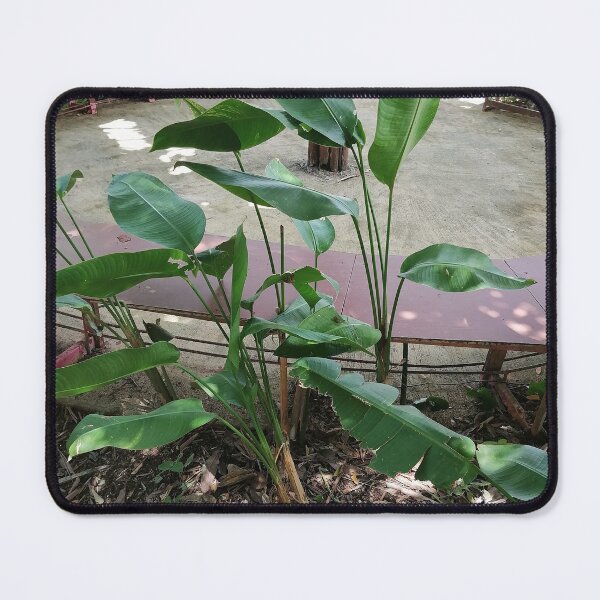 Item preview, Tropical Green Leaves Nature Photo designed and sold by PhuongVoArt.