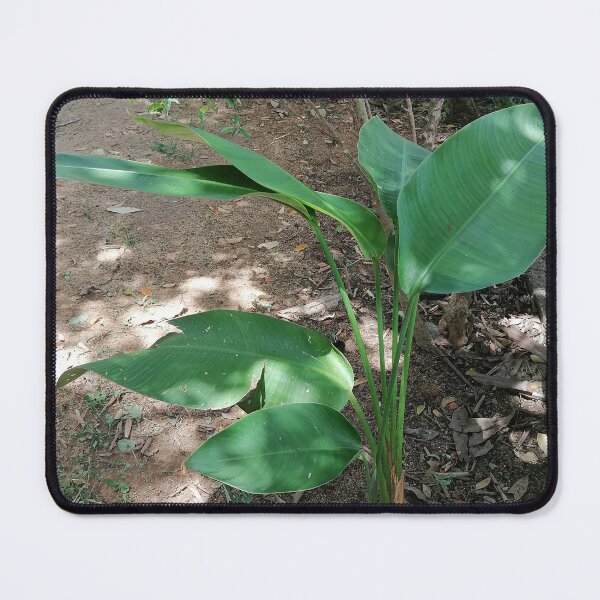 Item preview, Minimal Tropical Green Leaves designed and sold by PhuongVoArt.