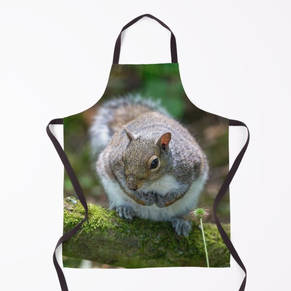 Item preview, Eastern grey squirrel (Sciurus carolinensis) designed and sold by Stephen Jarman.
