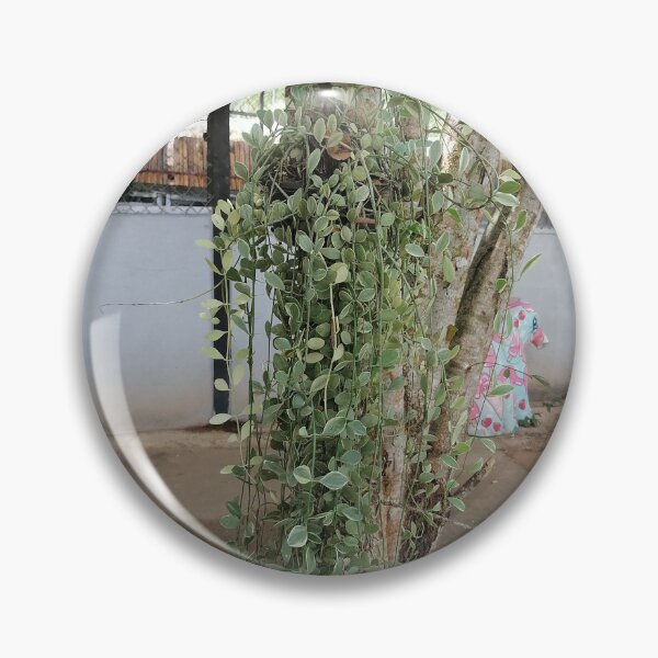 Item preview, Tropical Hanging Green Vine Plant designed and sold by PhuongVoArt.
