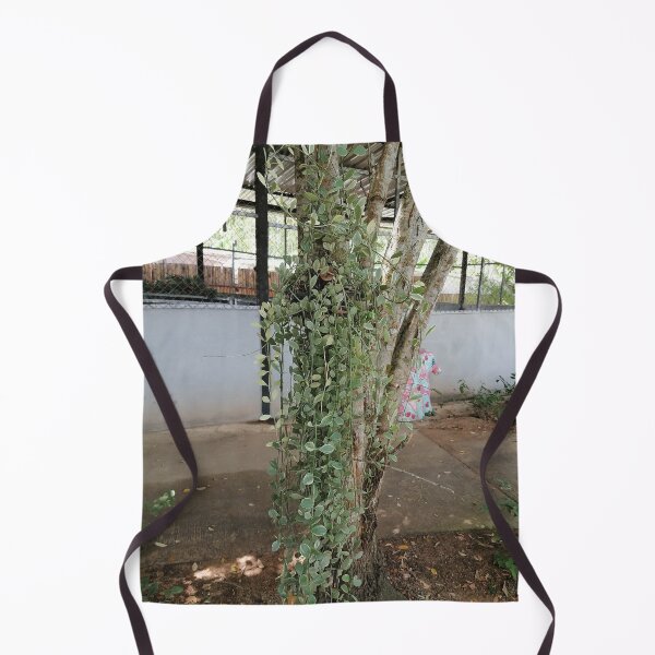 Item preview, Tropical Hanging Green Vine Plant designed and sold by PhuongVoArt.