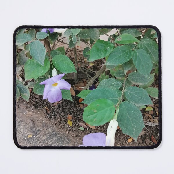 Item preview, Purple Tropical Flower Photography designed and sold by PhuongVoArt.