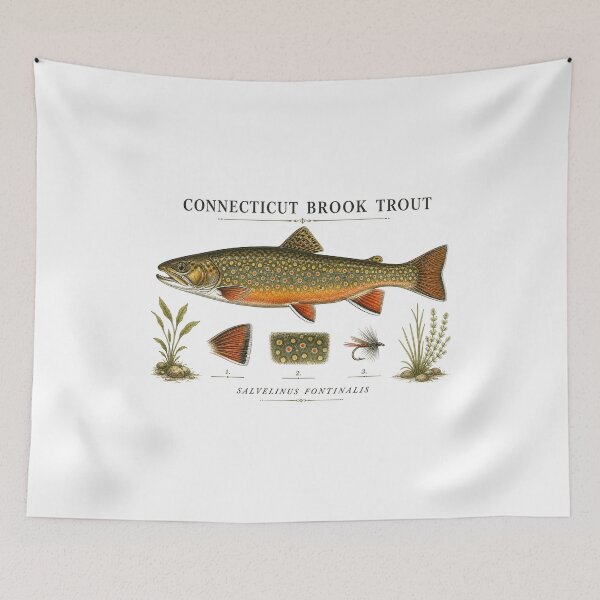 Item preview, Connecticut Brook Trout Fishing Art | New England Angler Design designed and sold by AMICO77.