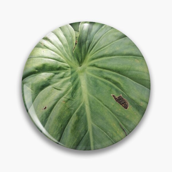 Item preview, Large Tropical Green Leaf Photography designed and sold by PhuongVoArt.
