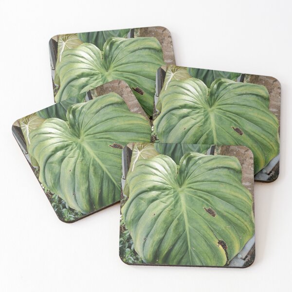 Item preview, Large Tropical Green Leaf Photography designed and sold by PhuongVoArt.