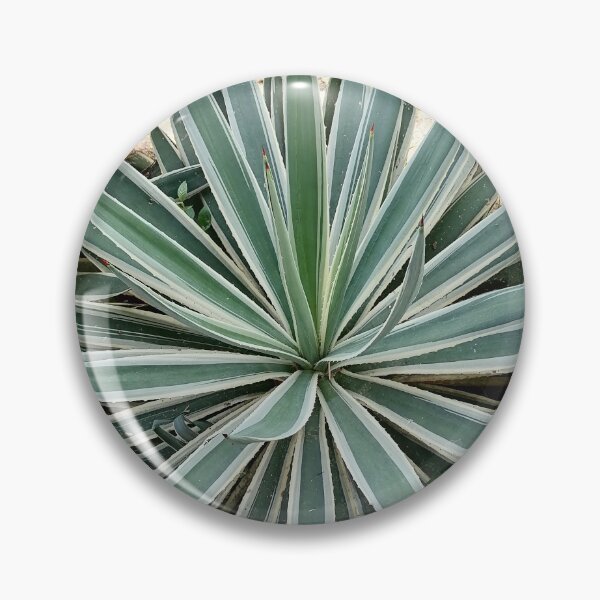 Item preview, Agave Plant Geometric Leaves designed and sold by PhuongVoArt.