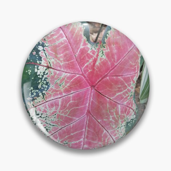 Item preview, Pink Caladium Tropical Leaf designed and sold by PhuongVoArt.