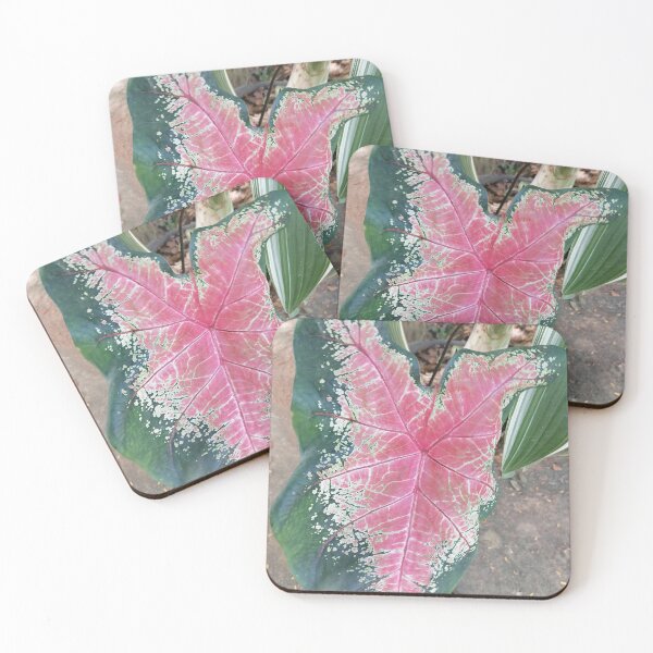 Item preview, Pink Caladium Tropical Leaf designed and sold by PhuongVoArt.