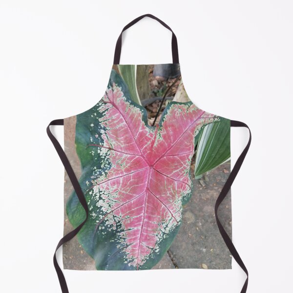 Item preview, Pink Caladium Tropical Leaf designed and sold by PhuongVoArt.