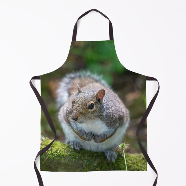 Item preview, Eastern grey squirrel (Sciurus carolinensis) designed and sold by Stephen Jarman.