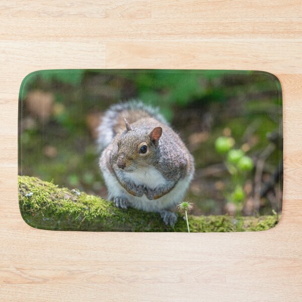 Item preview, Eastern grey squirrel (Sciurus carolinensis)  designed and sold by Stephen Jarman.