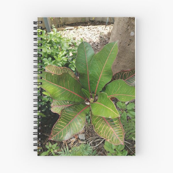 Item preview, Colorful Tropical Croton Leaf designed and sold by PhuongVoArt.