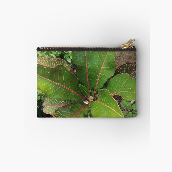 Item preview, Colorful Tropical Croton Leaf designed and sold by PhuongVoArt.