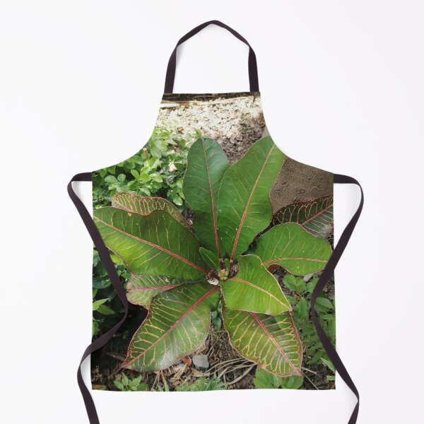 Item preview, Colorful Tropical Croton Leaf designed and sold by PhuongVoArt.