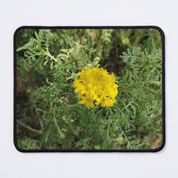 Item preview, Yellow Marigold Flower Nature Photo designed and sold by PhuongVoArt.