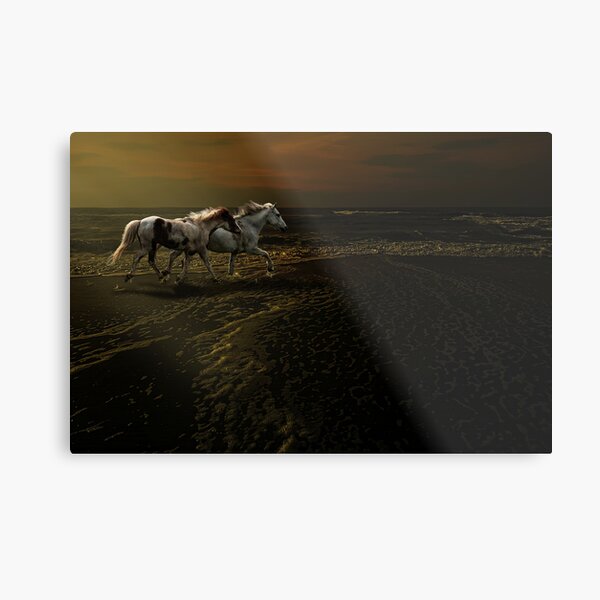 Dusk Metal Print