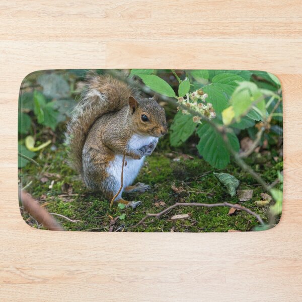 Item preview, Eastern grey squirrel (Sciurus carolinensis)   designed and sold by Stephen Jarman.