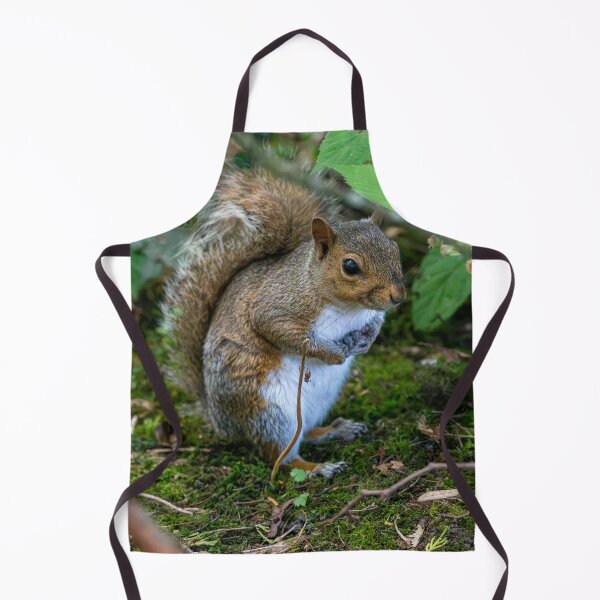 Item preview, Eastern grey squirrel (Sciurus carolinensis) designed and sold by Stephen Jarman.