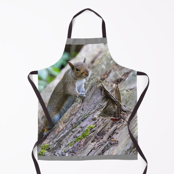 Item preview, Eastern grey squirrel (Sciurus carolinensis) designed and sold by Stephen Jarman.