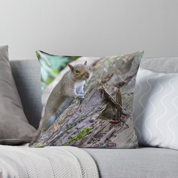 Item preview, Eastern grey squirrel (Sciurus carolinensis)  designed and sold by Stephen Jarman.