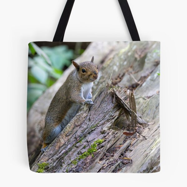 Item preview, Eastern grey squirrel (Sciurus carolinensis)  designed and sold by Stephen Jarman.