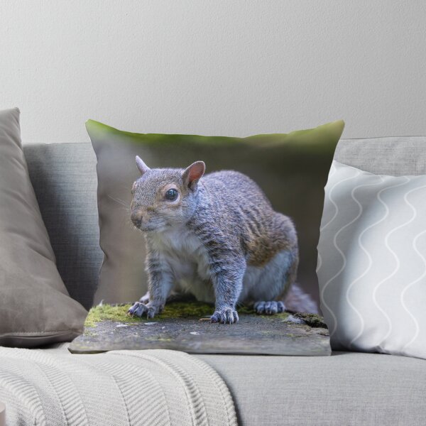 Item preview, Eastern grey squirrel (Sciurus carolinensis)   designed and sold by Stephen Jarman.