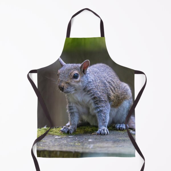 Item preview, Eastern grey squirrel (Sciurus carolinensis) designed and sold by Stephen Jarman.