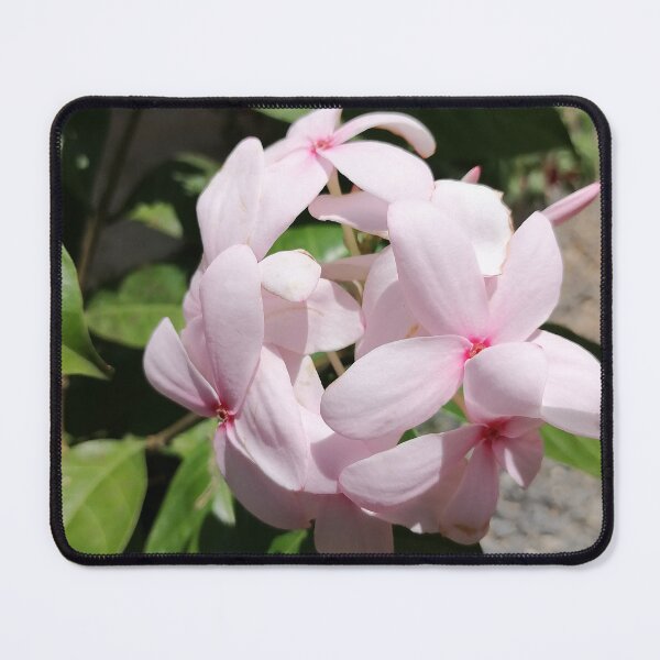 Item preview, Pink Frangipani Tropical Flower designed and sold by PhuongVoArt.