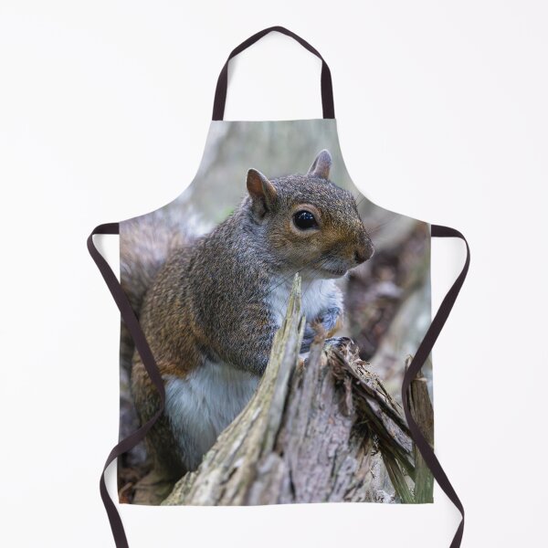 Item preview, Eastern grey squirrel (Sciurus carolinensis) designed and sold by Stephen Jarman.