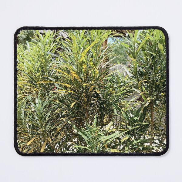 Item preview, Tropical Croton Colorful Leaves designed and sold by PhuongVoArt.