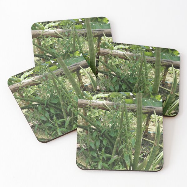 Item preview, Tropical Green Plant Nature Photography designed and sold by PhuongVoArt.