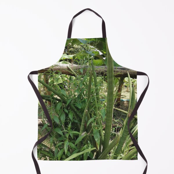 Item preview, Tropical Green Plant Nature Photography designed and sold by PhuongVoArt.