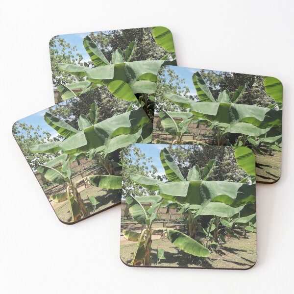 Item preview, Tropical Banana Leaves Nature Photo designed and sold by PhuongVoArt.