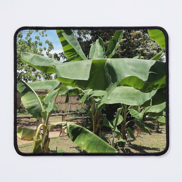 Item preview, Tropical Banana Leaves Nature Photo designed and sold by PhuongVoArt.