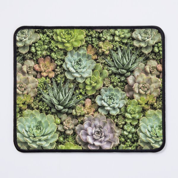 Item preview, SUCCULENTS PATTERN designed and sold by ART-TYPE.