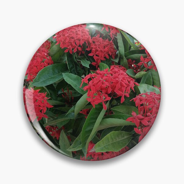 Item preview, Red Ixora Tropical Flower designed and sold by PhuongVoArt.