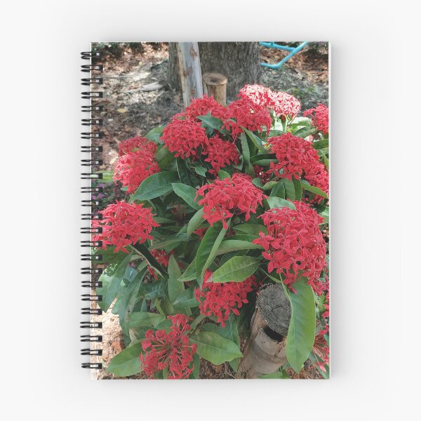 Item preview, Red Ixora Tropical Flower designed and sold by PhuongVoArt.