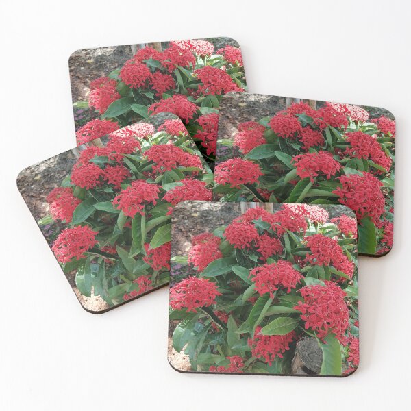 Item preview, Red Ixora Tropical Flower designed and sold by PhuongVoArt.