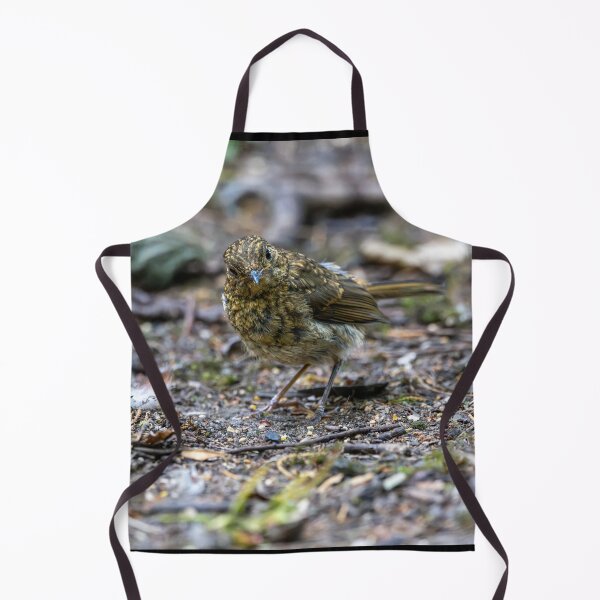 Item preview, Juvenile European robin (Erithacus rubecula) designed and sold by Stephen Jarman.