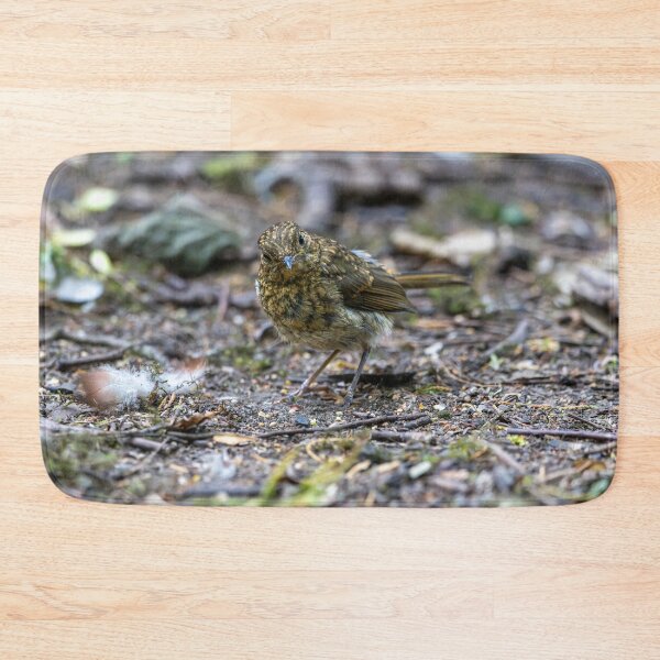 Item preview, Juvenile European robin (Erithacus rubecula) designed and sold by Stephen Jarman.