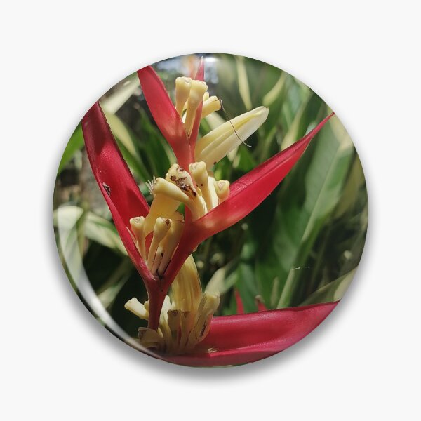 Artikelvorschau, Red Heliconia Tropical Flower entworfen und verkauft von PhuongVoArt.