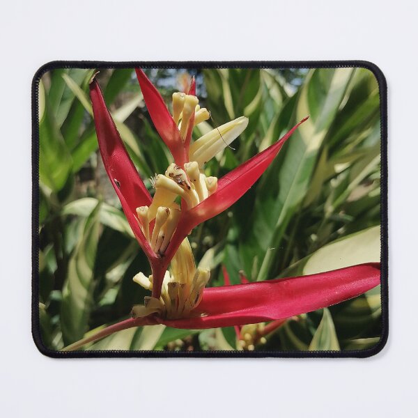 Item preview, Red Heliconia Tropical Flower designed and sold by PhuongVoArt.