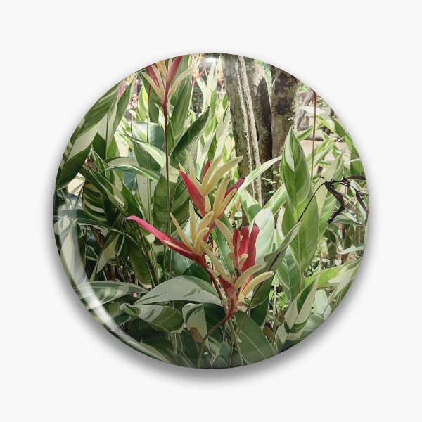 Item preview, Variegated Heliconia Tropical Plant designed and sold by PhuongVoArt.