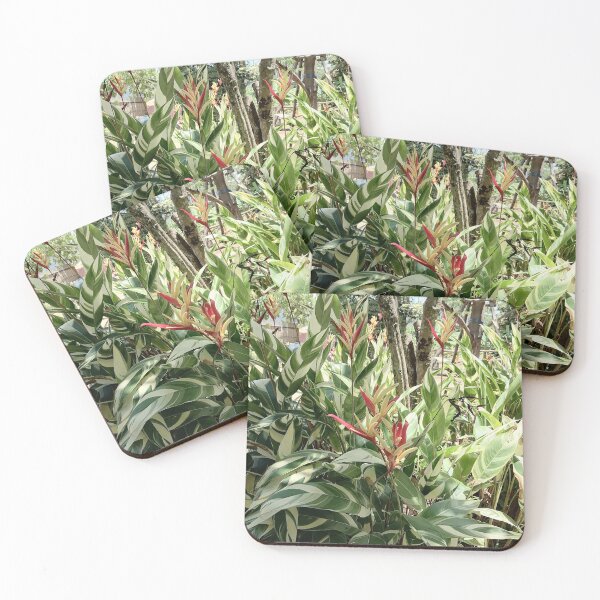 Item preview, Variegated Heliconia Tropical Plant designed and sold by PhuongVoArt.