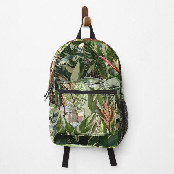Item preview, Variegated Heliconia Tropical Plant designed and sold by PhuongVoArt.