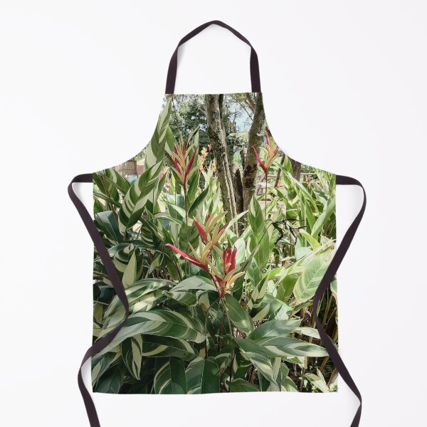 Item preview, Variegated Heliconia Tropical Plant designed and sold by PhuongVoArt.