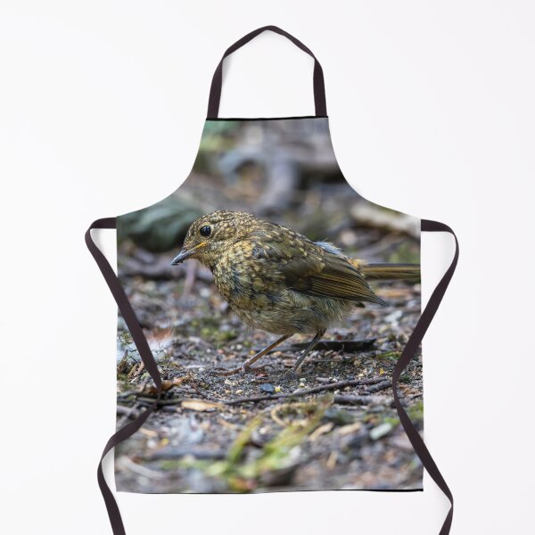 Item preview, Juvenile European robin (Erithacus rubecula) designed and sold by Stephen Jarman.